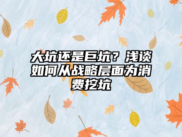 大坑还是巨坑？浅谈如何从战略层面为消费挖坑