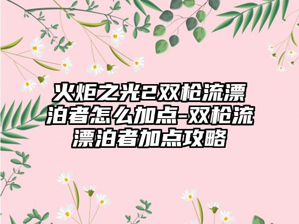 火炬之光2双枪流漂泊者怎么加点-双枪流漂泊者加点攻略