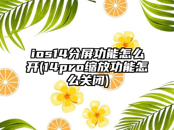 ios14分屏功能怎么开(14pro缩放功能怎么关闭)