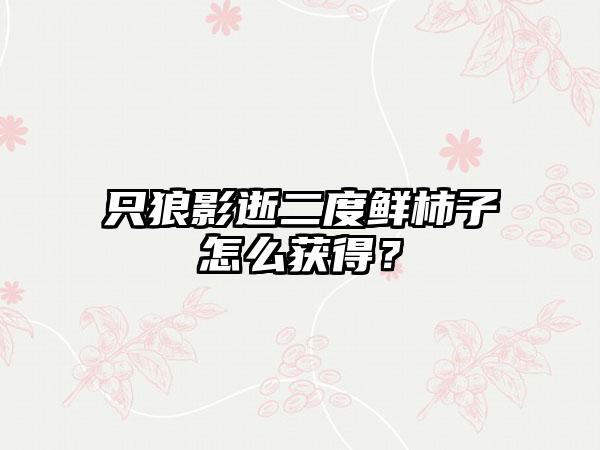 只狼影逝二度鲜柿子怎么获得？