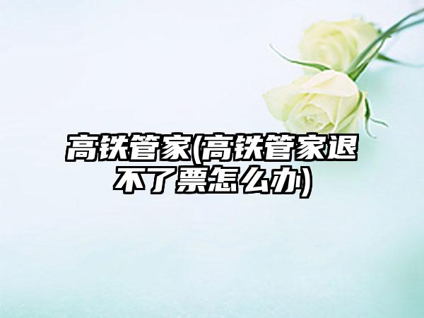高铁管家(高铁管家退不了票怎么办)