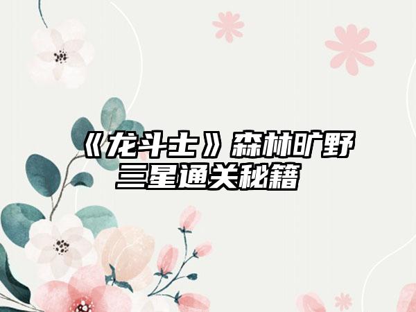 《龙斗士》森林旷野三星通关秘籍