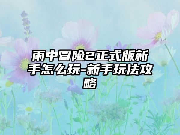 雨中冒险2正式版新手怎么玩-新手玩法攻略