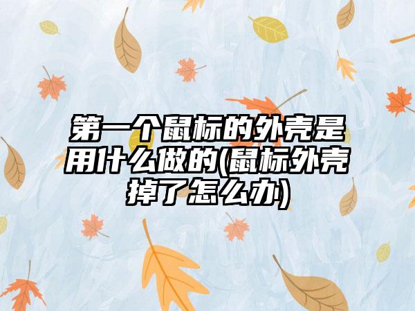 第一个鼠标的外壳是用什么做的(鼠标外壳掉了怎么办)