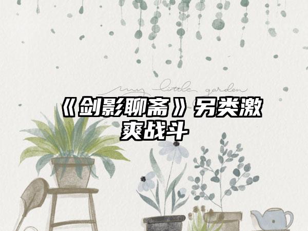 《剑影聊斋》另类激爽战斗