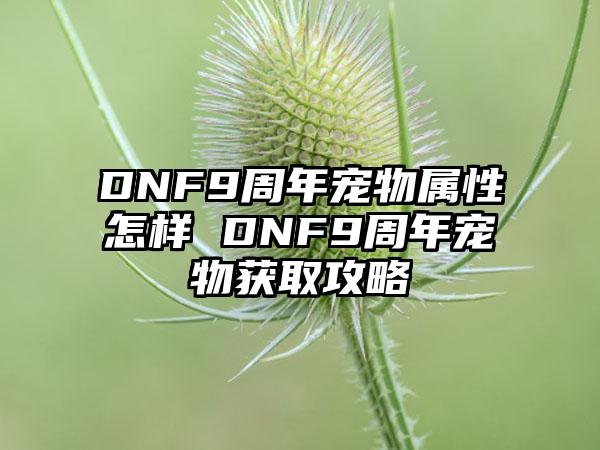 DNF9周年宠物属性怎样 DNF9周年宠物获取攻略
