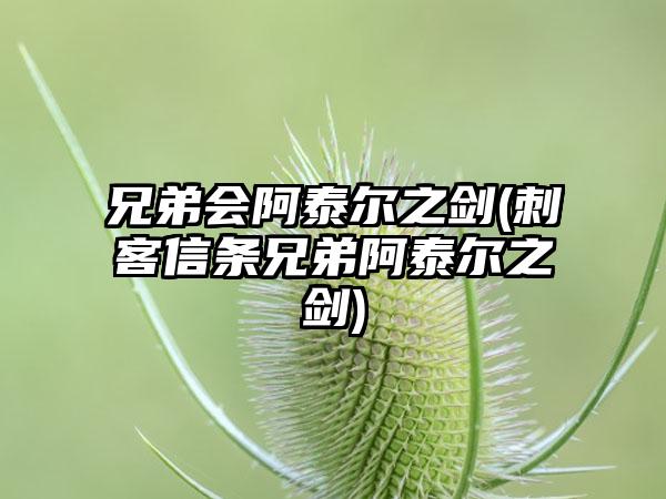 兄弟会阿泰尔之剑(刺客信条兄弟阿泰尔之剑)