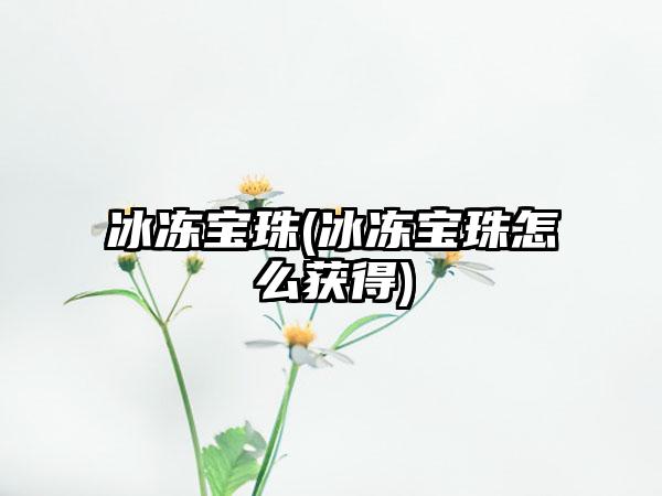 冰冻宝珠(冰冻宝珠怎么获得)