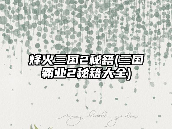 烽火三国2秘籍(三国霸业2秘籍大全)