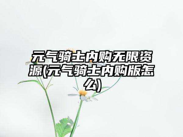 元气骑士内购无限资源(元气骑士内购版怎么)