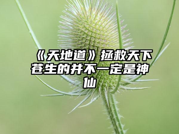 《天地道》拯救天下苍生的并不一定是神仙
