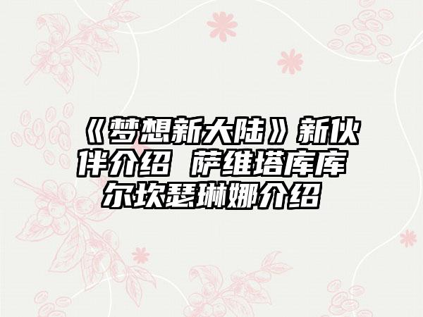 《梦想新大陆》新伙伴介绍 萨维塔库库尔坎瑟琳娜介绍