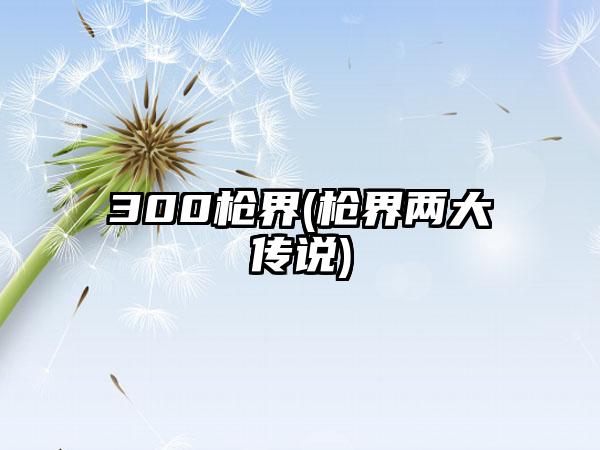 300枪界(枪界两大传说)