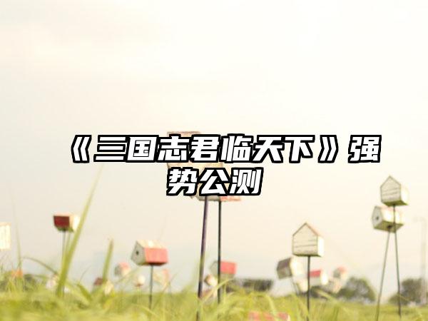 《三国志君临天下》强势公测