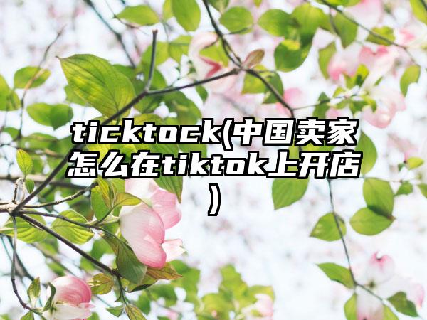 ticktock(中国卖家怎么在tiktok上开店)
