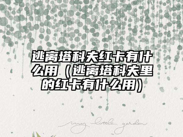 逃离塔科夫红卡有什么用（逃离塔科夫里的红卡有什么用）