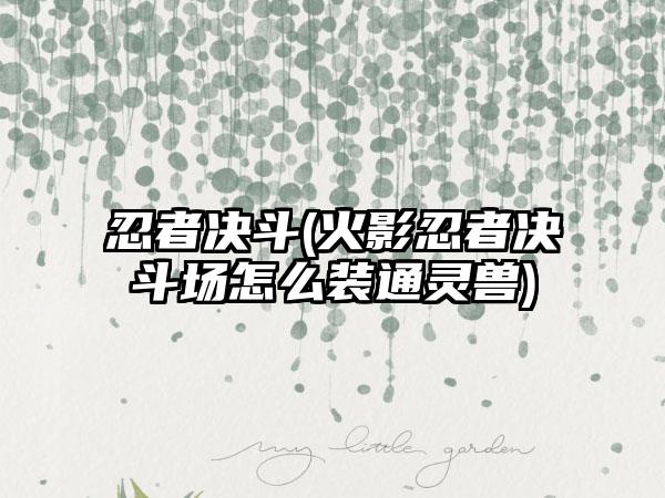 忍者决斗(火影忍者决斗场怎么装通灵兽)