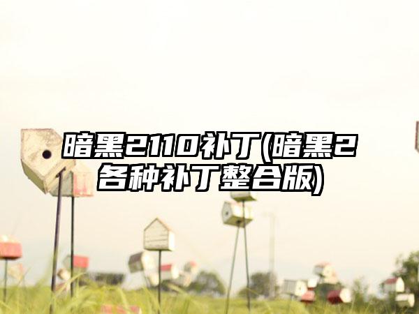 暗黑2110补丁(暗黑2各种补丁整合版)