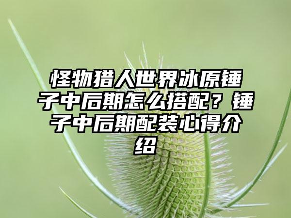 怪物猎人世界冰原锤子中后期怎么搭配？锤子中后期配装心得介绍