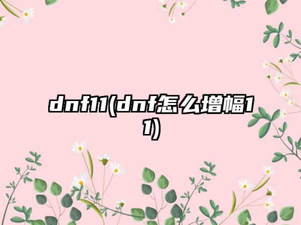 dnf11(dnf怎么增幅11)