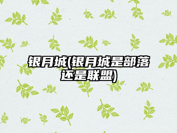 银月城(银月城是部落还是联盟)