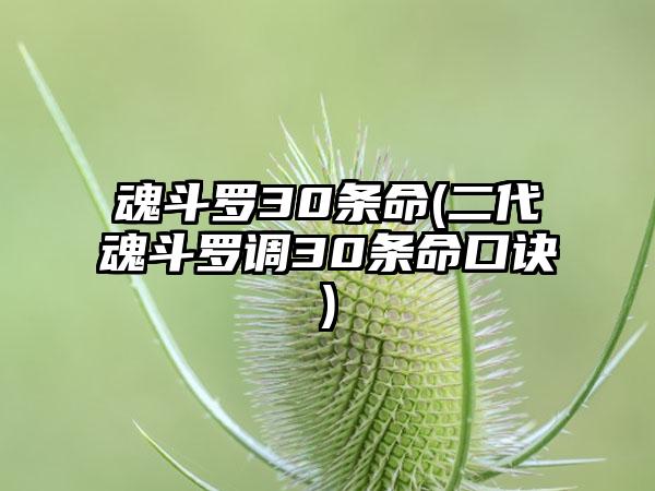 魂斗罗30条命(二代魂斗罗调30条命口诀)