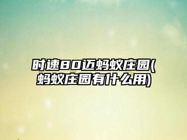 时速80迈蚂蚁庄园(蚂蚁庄园有什么用)