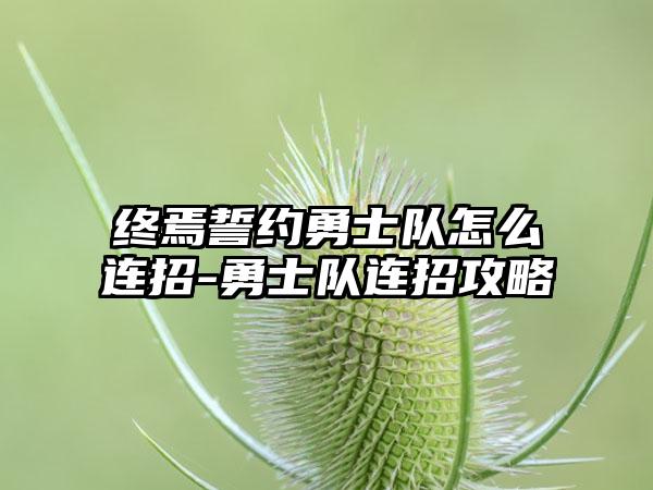 终焉誓约勇士队怎么连招-勇士队连招攻略