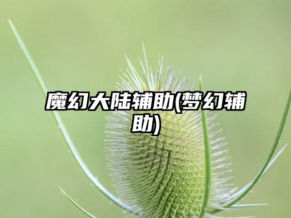 魔幻大陆辅助(梦幻辅助)