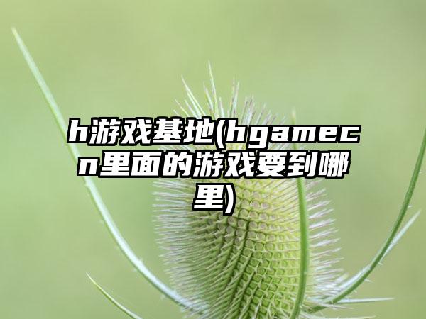 h游戏基地(hgamecn里面的游戏要到哪里)