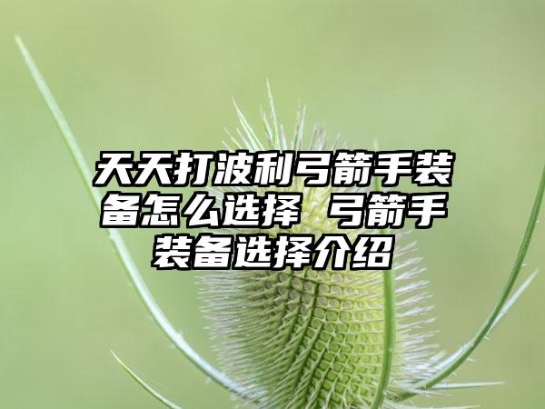 天天打波利弓箭手装备怎么选择 弓箭手装备选择介绍