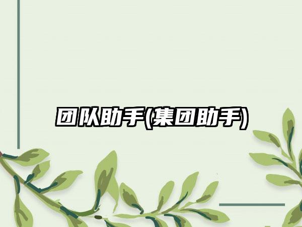 团队助手(集团助手)