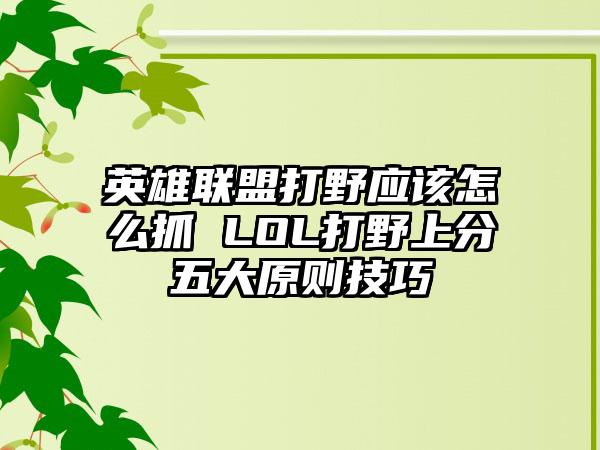 英雄联盟打野应该怎么抓 LOL打野上分五大原则技巧