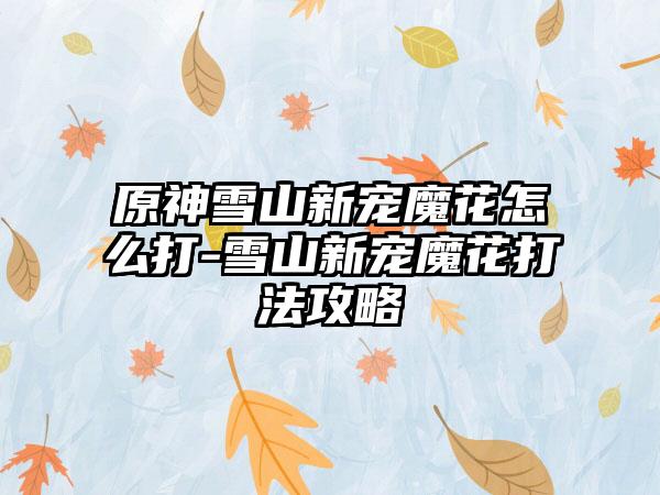 原神雪山新宠魔花怎么打-雪山新宠魔花打法攻略