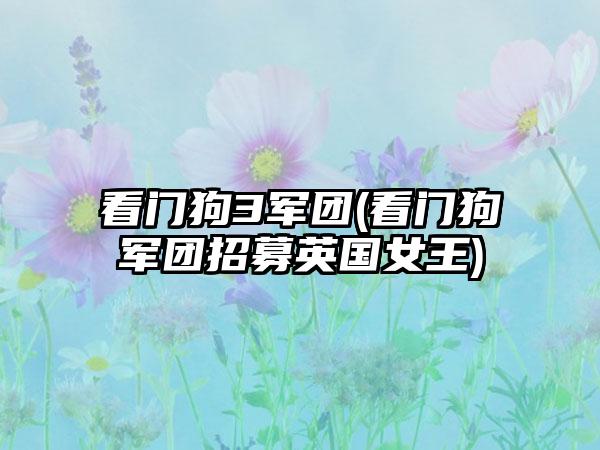 看门狗3军团(看门狗军团招募英国女王)