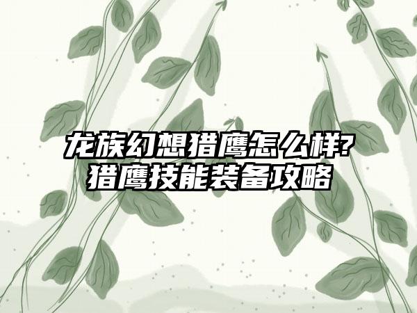 龙族幻想猎鹰怎么样?猎鹰技能装备攻略