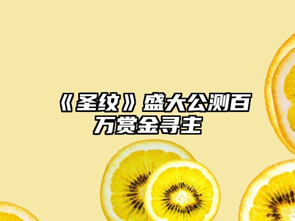 《圣纹》盛大公测百万赏金寻主