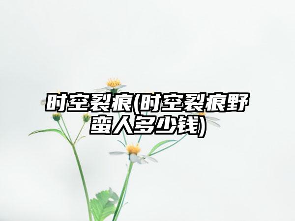 时空裂痕(时空裂痕野蛮人多少钱)