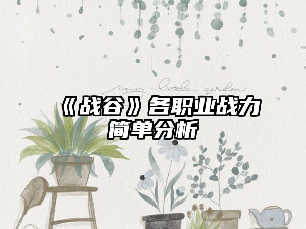 《战谷》各职业战力简单分析