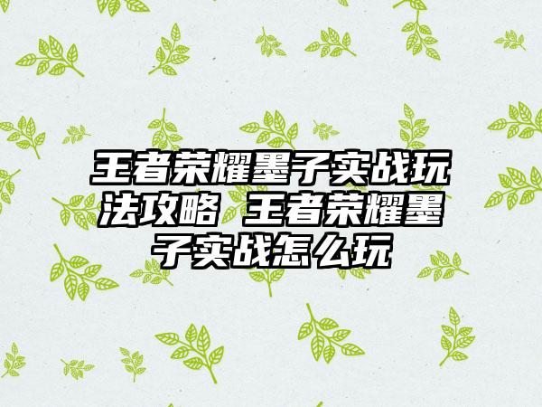 王者荣耀墨子实战玩法攻略 王者荣耀墨子实战怎么玩