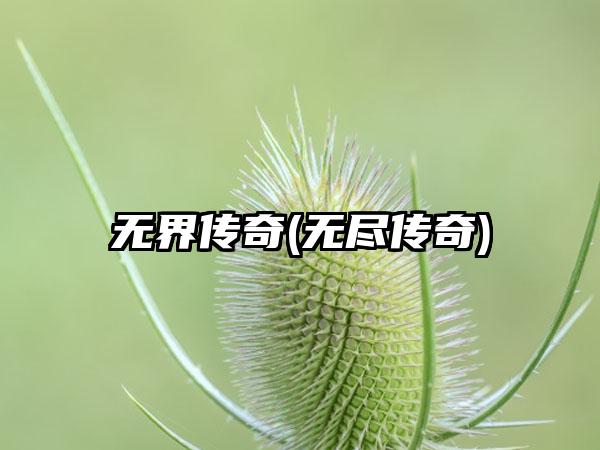 无界传奇(无尽传奇)