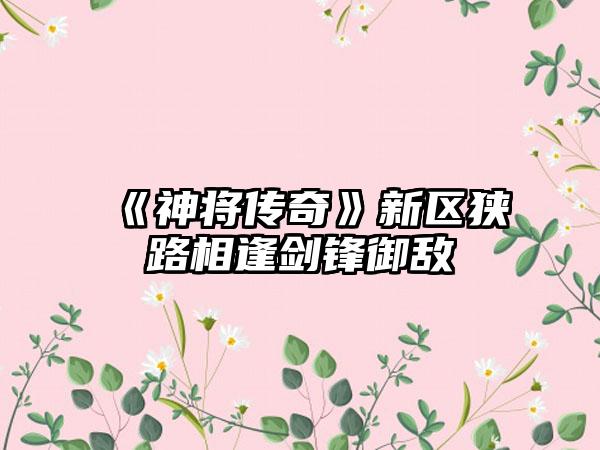 《神将传奇》新区狭路相逢剑锋御敌