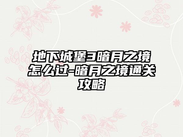 地下城堡3暗月之境怎么过-暗月之境通关攻略