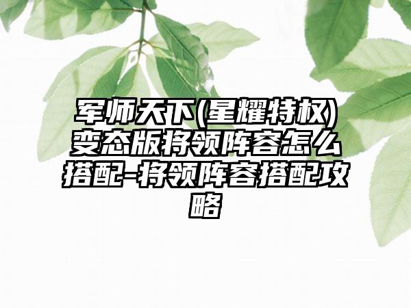 军师天下(星耀特权)变态版将领阵容怎么搭配-将领阵容搭配攻略