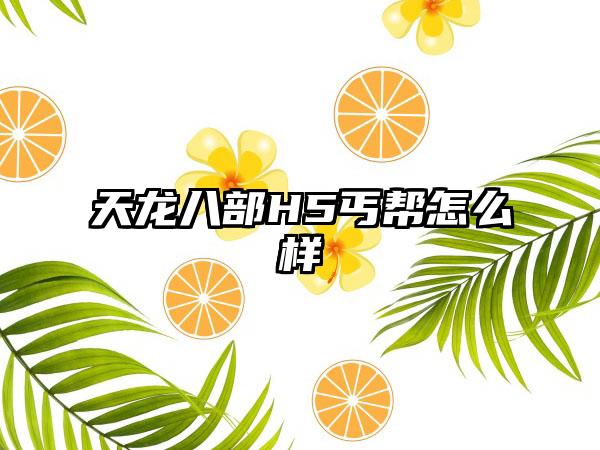 天龙八部H5丐帮怎么样