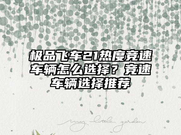 极品飞车21热度竞速车辆怎么选择？竞速车辆选择推荐