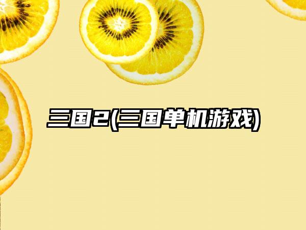 三国2(三国单机游戏)