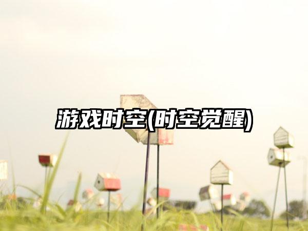 游戏时空(时空觉醒)