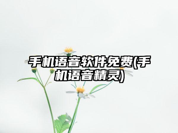 手机语音软件免费(手机语音精灵)
