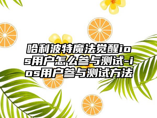 哈利波特魔法觉醒ios用户怎么参与测试-ios用户参与测试方法